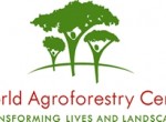 CIMMYT - World Agroforestry Centre ICRAF